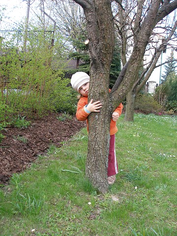 Zasněná Baru
