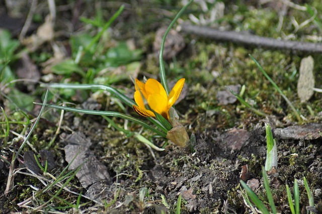 Trochu jara II.